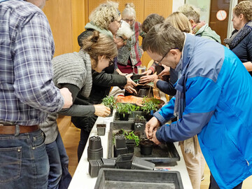 Praktische Saatgutvermehrung