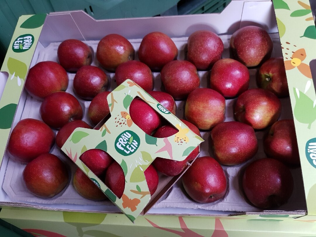 Frulein  eine deutsche Apfelentdeckung ist der Slogan fr den neuen Markenauftritt der Apfelsorte GS66.