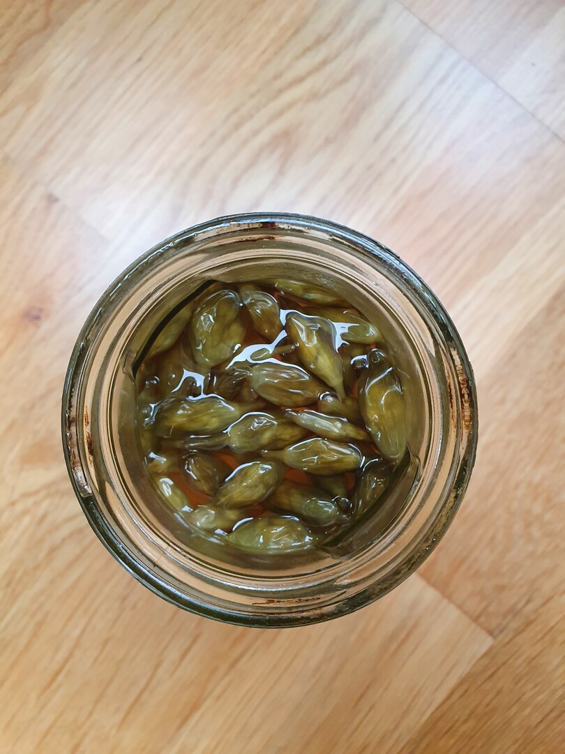  Mit Pfeffer, Salz, Zucker und Senfkrnern einen Essigsud ansetzen und aufkochen. Dafr eignen sich zum Beispiel Weiweinessig oder Reisessig - je nach Geschmack. Die noch geschlossenen Brlauchknospen waschen und in ein Glas fllen. Mit dem heien Essigsud bergieen und sofort verschlieen. Nach wenigen Wochen sind die Brlauchkapern durchgezogen. Geffnet halten sie sich im Khlschrank mehrere Monate. Sehr gut passen die Kapern als Beilage zu Fleischfondue oder als Dekoration zum Kse. 