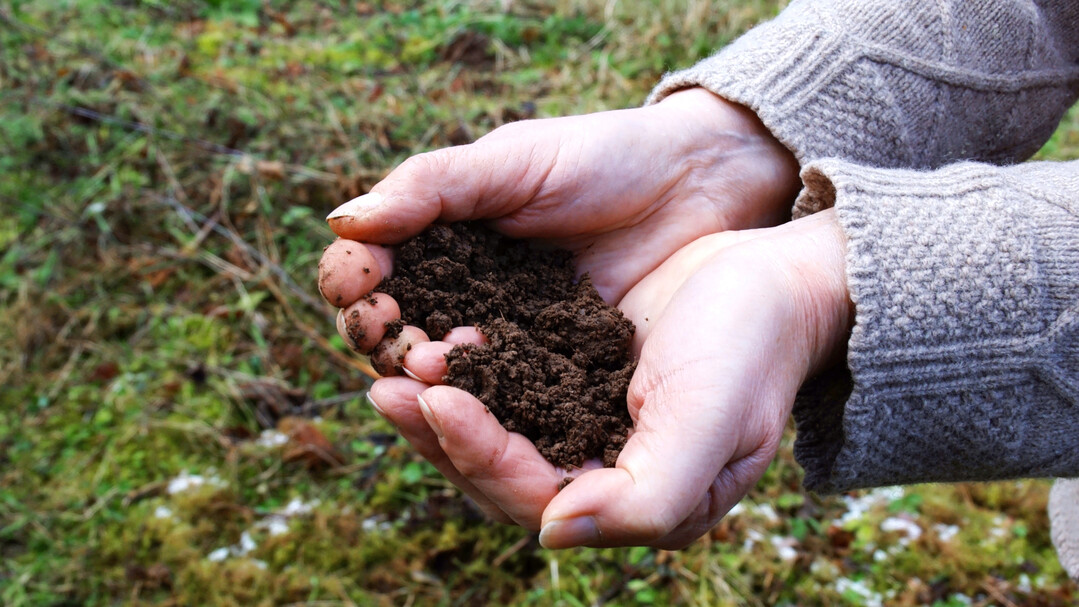 Gartenerde soll kr�melig sein, damit Pflanzen gut einwurzeln k�nnen