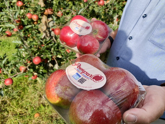 Um Verwechslungen mit anderen Apfelsorten zu vermeiden, sind die allergikerfreundlichen Äpfel mit einer Plastikfolie geschützt. Da ihre Verträglichkeit für Allergiker entscheidend ist, muss jede Vermischung ausgeschlossen werden.
