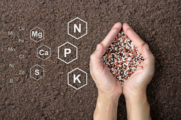 Klassische NPK-Dünger enthalten die wichtigsten drei Hauptnährstoffe. Daneben benötigen Pflanzen noch andere essenzielle Nährstoffe