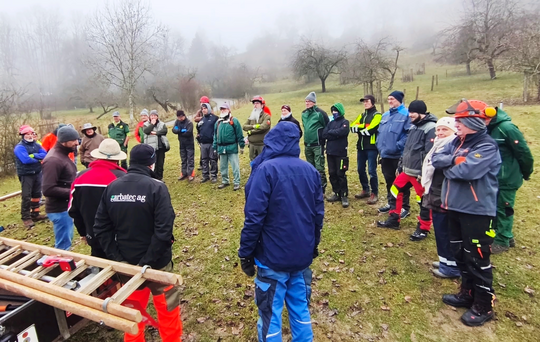 Baumpflege in Mundelfingen