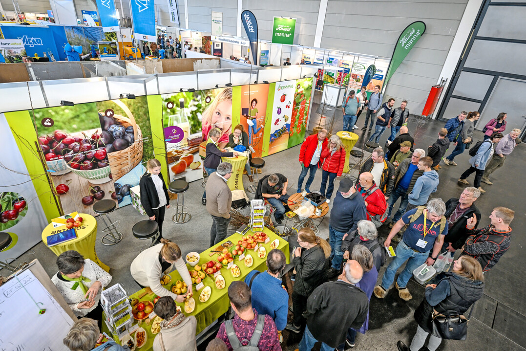 Reges Treiben in Halle B1