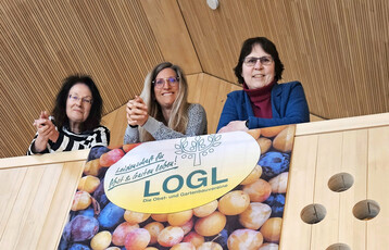 Heidi Schmidt, Eva Friedrich und Barbara Mischke (im Bild von links nach rechts)