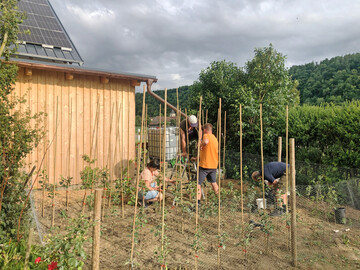 Anlässlich des 50-jährigen Bestehens des Vereins wurden bereits fünfzig im Hohenloher Kreis vorkommende Obstsorten veredelt.