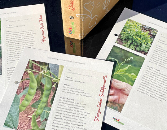 Vom Genbänkle werden die Sortenfunde dokumentiert