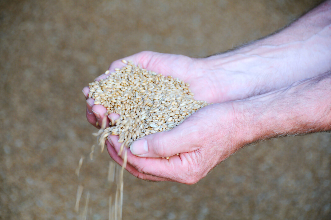 In den kommenden Wochen werden sich die Verhandlungsteams von EU-Kommission, Parlament und dem Rat der Landwirtschaftsminister:innen fast w�chentlich treffen, um die endg�ltigen Vorschriften festzulegen. 