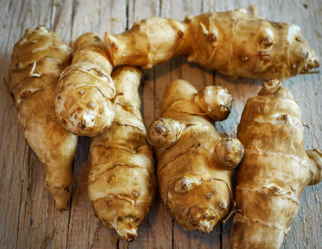 Anders als Kartoffeln speichern Topinamburknollen keine St�rke, sondern Inulin