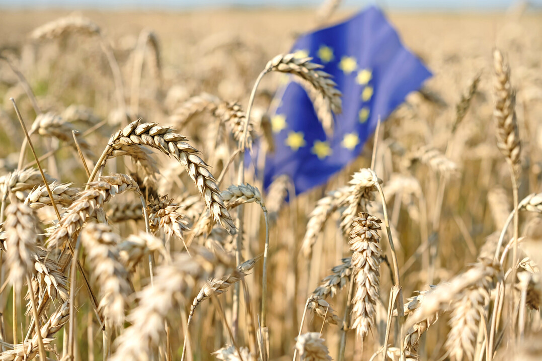 Ein aktueller EU-Gesetzvorschlag k�nnte zus�tzliche H�rden f�r die Vielfaltserhaltung alter Sorten in Feld und Garten bringen.