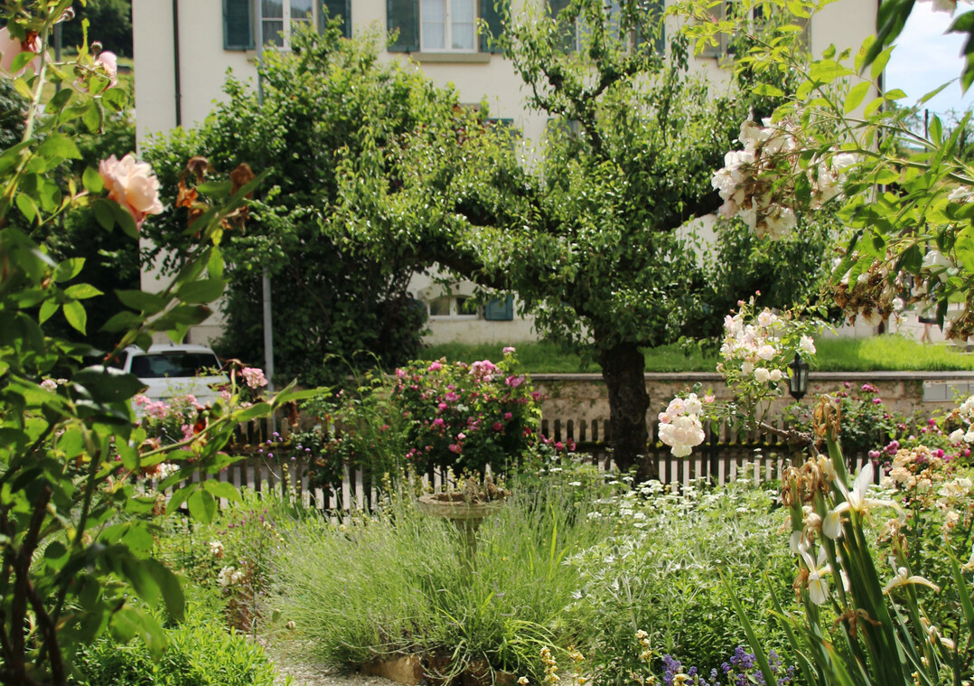 Im Gartendorf Osterfingen lohnt sich ein Blick �ber den Zaun.