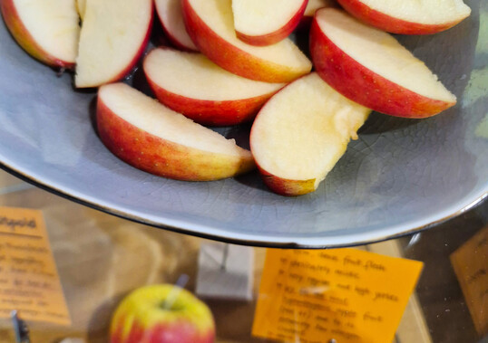 Die neue Apfelsorte �Prinzregent Luitpold� vom Bayerischen Obstzentrum eignet sich f�r Apfelallergiker.