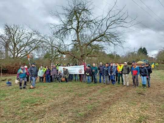 Baumpflegeaktion KObRA 2026