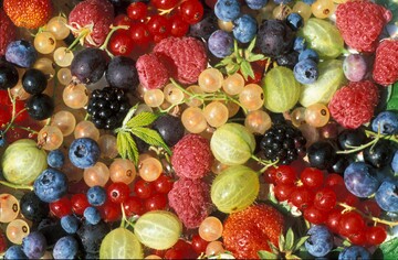 Bei Blaubeeren ist die weltweite Flche in den letzten 5 Jahren um 50 % gestiegen