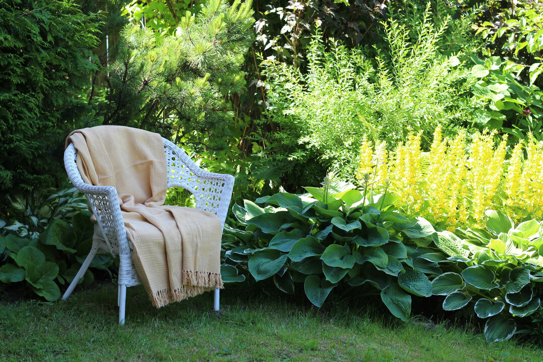 Auf einem kühlen und schattigen Sitzplatz im Garten lässt sich der Sommer genießen.