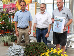 So sehen Gewinner aus: Der diesjährige MainStar-Award ging an die Power-Strohblume Xerochrysum "Granvia Gold" (1. Platz, MNP flowers, re.); Platz 2 erreichte die farbenfrohe Buntnessel "Stained Glassworks Spacecake" (Dümmen Orange, Mitte) und Platz 3 die silberfarbene Blattschmuckpflanze Senecio candicans "Angel Wings" (Kientzler, li.)