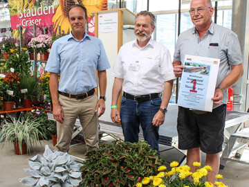 So sehen Gewinner aus: Der diesjhrige MainStar-Award ging an die Power-Strohblume Xerochrysum "Granvia Gold" (1. Platz, MNP flowers, re.); Platz 2 erreichte die farbenfrohe Buntnessel "Stained Glassworks Spacecake" (Dmmen Orange, Mitte) und Platz 3 die silberfarbene Blattschmuckpflanze Senecio candicans "Angel Wings" (Kientzler, li.)