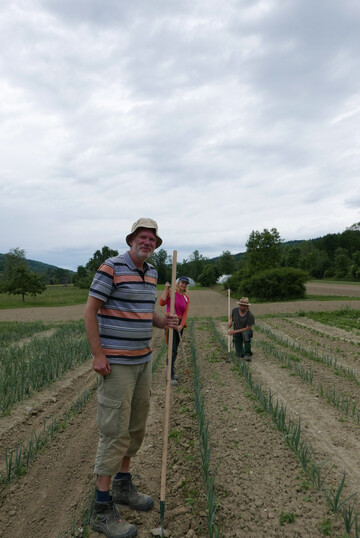 Die Landwirtschaft ist in allen Camphill-Drfern ein zentrales Element