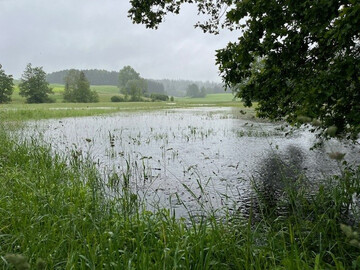 Hochwasserbilder Anfang Juni in Oberschwaben