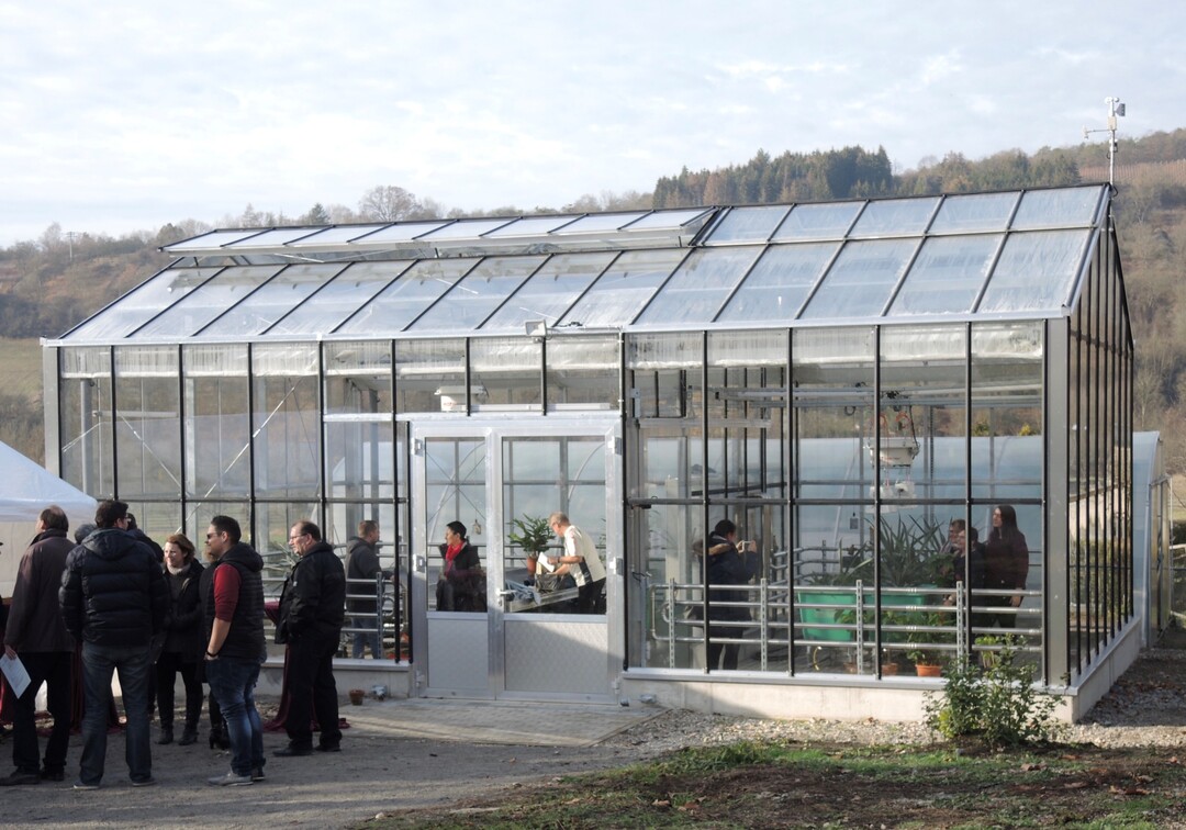 Das neue Gewchshaus beherbert exotische Pflanzen