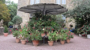 Prsentation historischer Fuchsiensorten im Schlossgarten Weikersheim