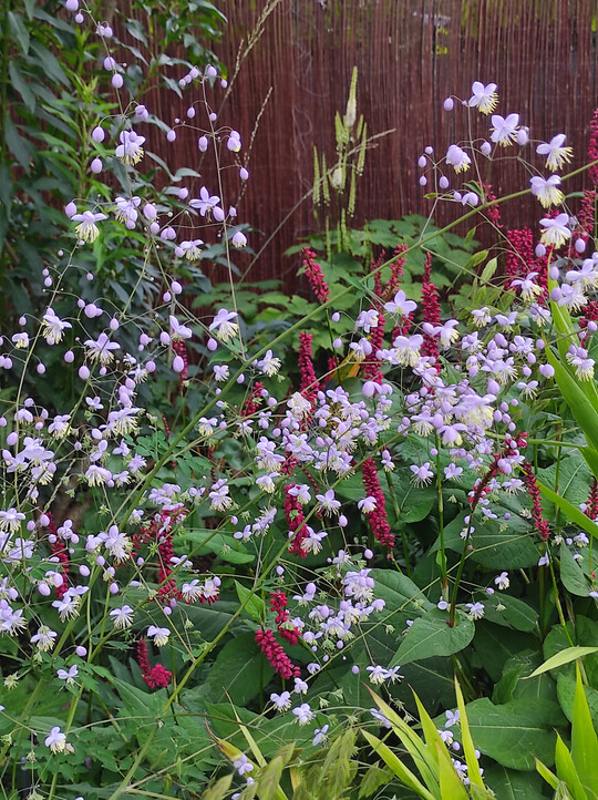 Der Garten inspiriert zum Staudenpflanzen