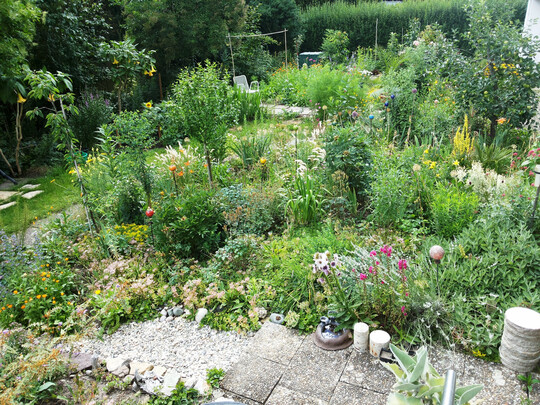 Rasenmhen ist in diesem artenreichen Garten nicht mehr erforderlich