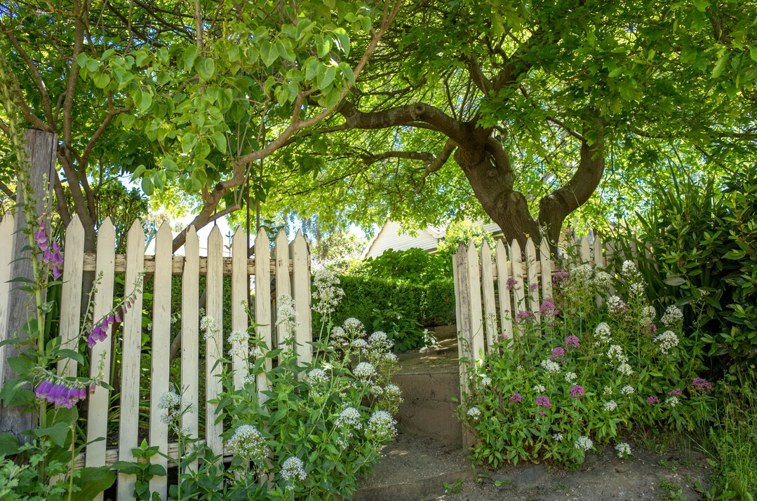 Am 30. Juni ffnen Gartenbesitzer in Baden-Wrttemberg und anderen Bundeslndern ihre Pforten fr andere Gartenliebhaber. 