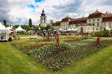 Schaugarten TulpenWind 2024 von Janina Haupt