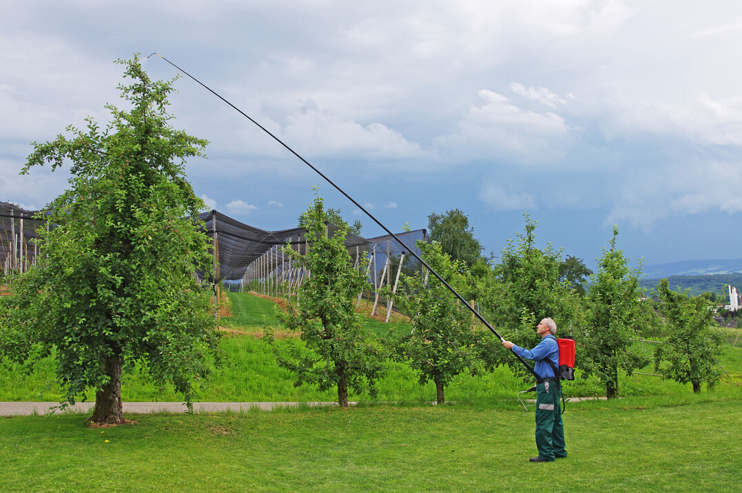 Mit der Birchmeier Teleskoplanze erreicht man auch hohe Ziele