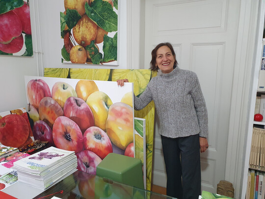 Brigitte Hofherr malt bevorzugt Apfelsorten, aber auch andere Obst- und Gemsesorten sowie andere Pflanzen