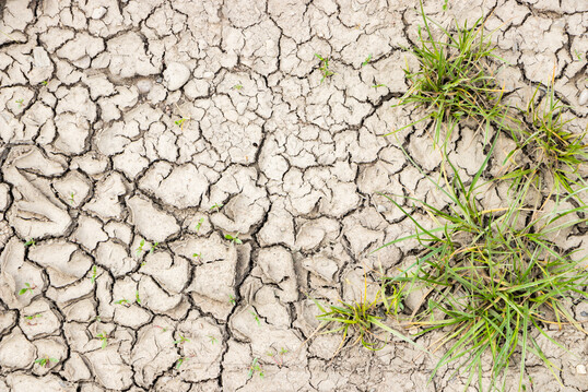 Hohe Sommertemperaturen können Cadmium in leicht sauren Böden mobilisieren