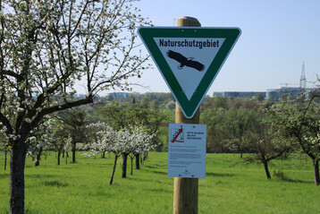 Streuobstwiese Naturschutzgebiet