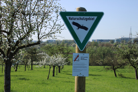 Streuobstwiese Naturschutzgebiet
