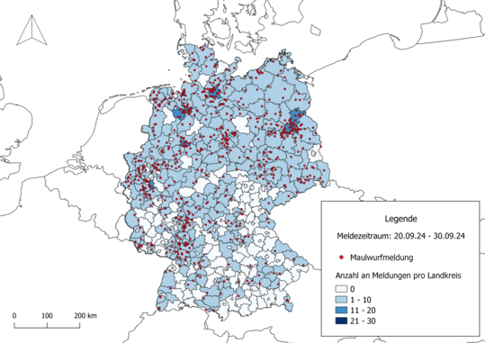 Maulwurf-Meldungen pro Landkreis im Rahmen der Kampagne Igel und Maulwurf (September 2024)