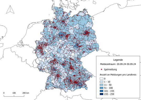 Igel-Meldungen pro Landkreis im Rahmen der Kampagne Igel und Maulwurf (September 2024)