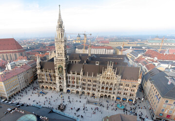 Auf dem Marienplatz in Mnchen zhlten die Forschenden nur 20 Arten. Grnere Pltze boten ber 100 Arten Lebensraum