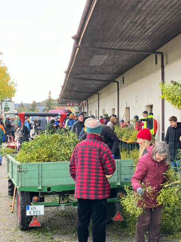 Gegen eine Spende konnten Misteln mitgenommen werden