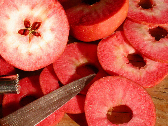 Rotfleische pfel werden fr Apfelchips  vorbereitet