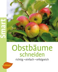 Obstbume schneiden