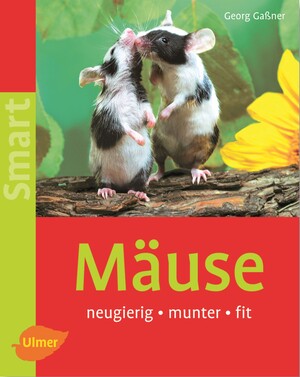 Muse
