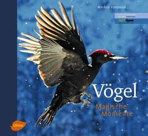 Vgel - Magische Momente