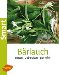 Brlauch
