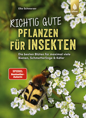 Richtig gute Pflanzen fr Insekten
