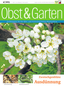 Cover Obst & Garten 04/2013