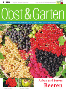 Cover Obst & Garten 06/2013
