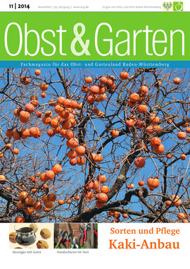 Cover Obst & Garten 11/2014