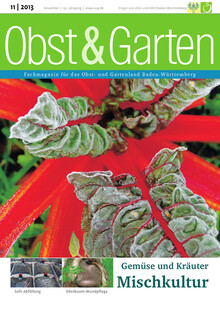 Cover Obst & Garten 11/2013