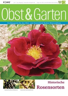Cover Obst & Garten 06/2017
