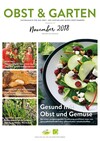 Cover Obst & Garten 11/2018